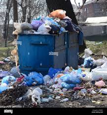Best Yard Waste Removal  in Kentland, IN