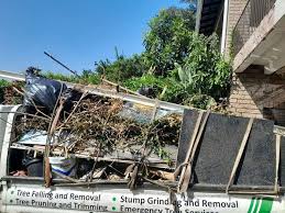 Best Attic Cleanout  in Kentland, IN
